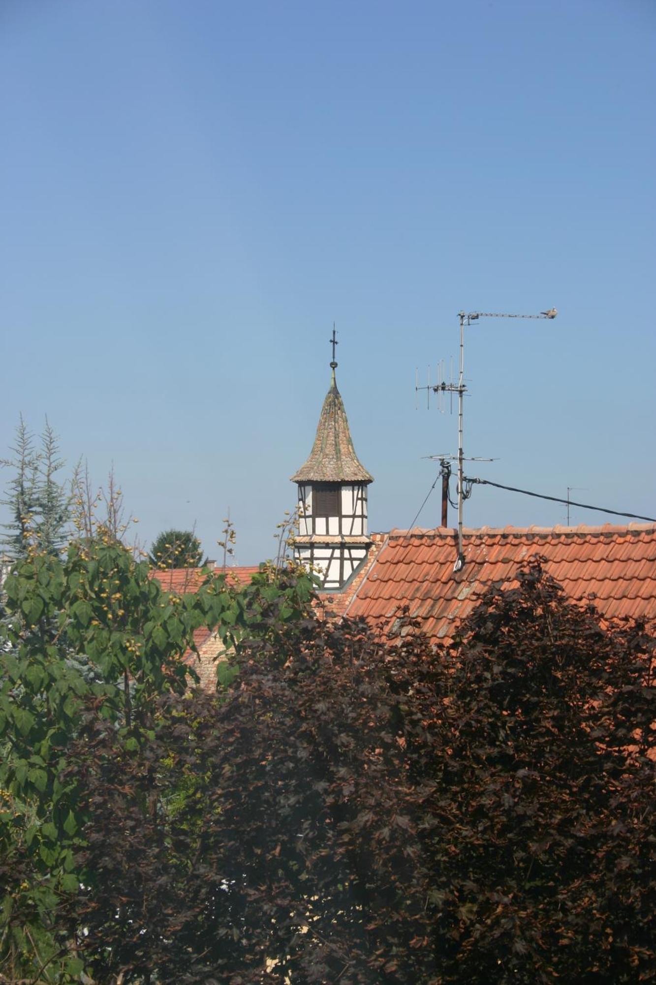 Bed and Breakfast Bois Joli De La Freyere Hindisheim Екстер'єр фото