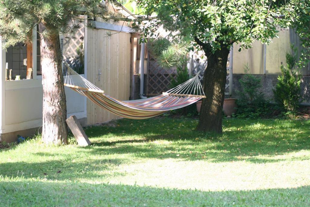 Bed and Breakfast Bois Joli De La Freyere Hindisheim Екстер'єр фото