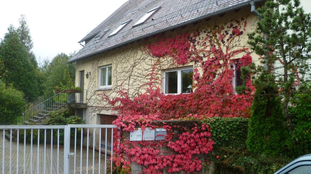 Bed and Breakfast Bois Joli De La Freyere Hindisheim Екстер'єр фото